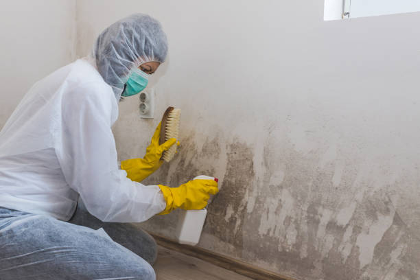 Best Airborne Mold Testing  in Alexandria, IN