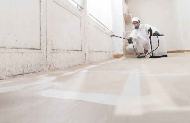 Professional Mold Removal in Alexandria, IN